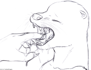 1419082_TwistedDragon_otterboyspoomaw.png