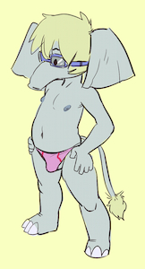 1437981_Apis_colton_speedo.png
