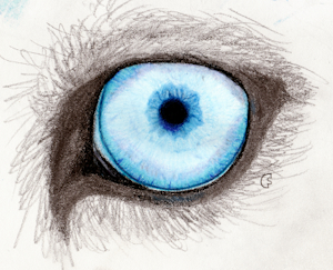 1469656_darkmare_1422148499.darkmare_husky_eye.png