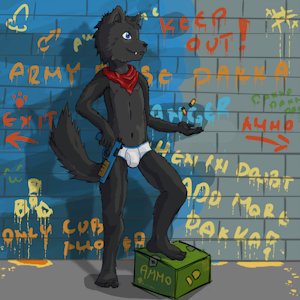 1515641_dakkawolf_dakka_set1_pic7.jpg