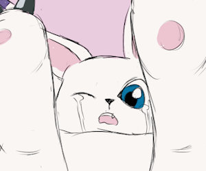 1523228_Vladimir_1432800_hanage1_-_gatomon_x_gazimon_2_pussy_stitched_together.png