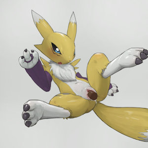 1737817_Vladimir_1674834_youjomodoki_-_renamon_1.jpg
