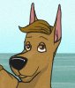 1803212_DangerDoberman_darren_daisy_at_beach.png