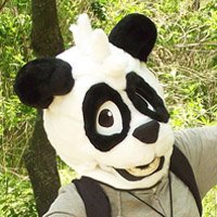166351_pandapaco_fursuitfdi.jpg