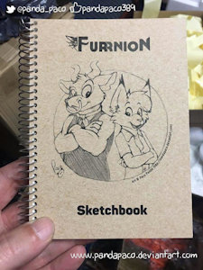 1820968_pandapaco_264sketchbook.jpg