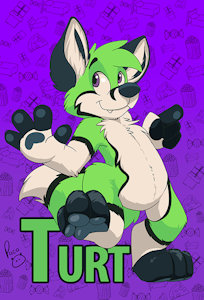 1834740_pandapaco_turt2_fdi.jpg