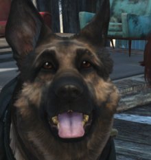 1858092_DangerDoberman_cait_dogmeat3.png