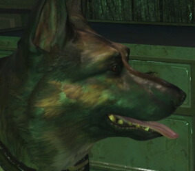 1858998_DangerDoberman_cait_dogmeat.png