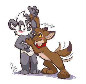 1899817_pandapaco_11tk_sniff.jpg