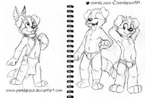 1906678_pandapaco_317_roni_tribal_sketches.jpg