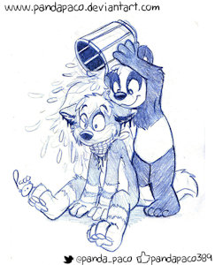 1922715_pandapaco_330cosmic2.jpg