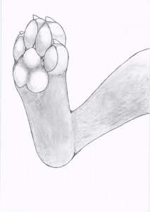 1951947_Chazchu_footpaw.png