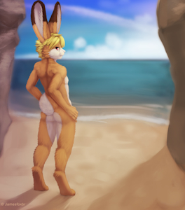 1965599_jamesfoxbr_bunny-sexy-smaller.png