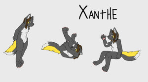180292_Bloodhawk_xanthe_preview.jpg