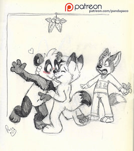 2144068_pandapaco_447mistletoe.jpg