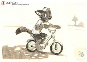 2144077_pandapaco_459shadow_bike.jpg