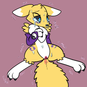 2171875_Vladimir_2098261_tanukeki_-_renamon_female_circumcision_-_circumcised.png