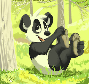 2321328_pandapaco_12_panda_paws.jpg