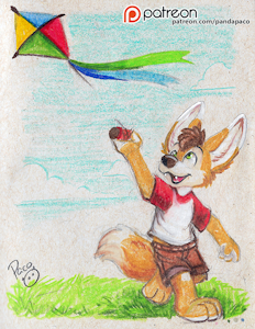 2364592_pandapaco_550hdofu_kite.png