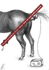 2473926_darkmare_horse_e.png