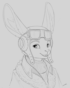 2837642_jamesfoxbr_bunny-pilot.png