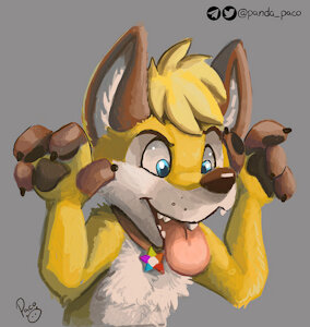 3156070_pandapaco_815albert_fox.jpg