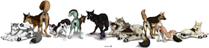 3652916_Truegrave9_tailflag_girls_final_small.png