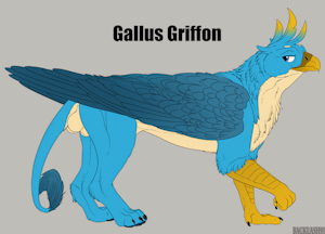 3934683_Backlash91_gallus_griffon_1.png