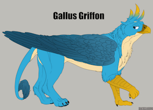 3934684_Backlash91_gallus_griffon_sfw.png