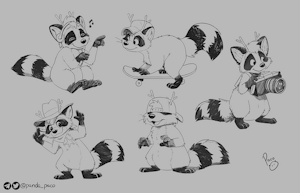 3974272_pandapaco_991sheriff_raccoons.png
