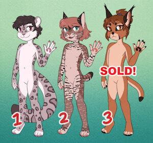 4162262_Peony_september_1_2022_adopts_caracal_sold.jpg