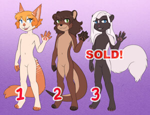 4207637_Peony_adopts_october_11_2022_skunk_sold.jpg