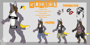 375969_XantheWolf_xanthe_ref_2012_clean.jpg