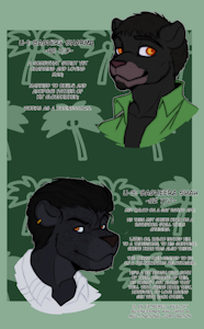 4438220_RaccoonDouglas_pub_bagheera.png