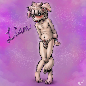 4516658_Pux_pux_liam1-14.png