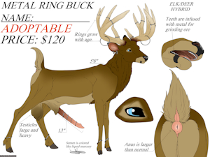 4597499_Backlash91_deer_elk_adopt.png