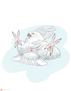 4619276_MoistEagleVent_6364-fluffy_dessert_inkbunny_-1280.png