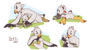 4669458_Iztli_38_png.png