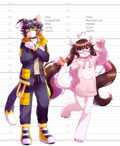 4733889_Sunnynoga_height_chart_gatos.png