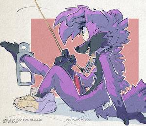 4775170_Ratcha_46_grapecollie.jpg