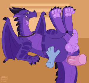 4865911_PocketPaws_10_duskthederg_veiscoloured_nocum.gif