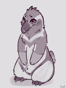 4922763_Yurusa_aurorapenguin.jpg