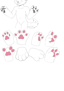 4923018_foxyfaxer_paws2.png