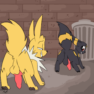 4977891_Fuf_anigifjolteonumbreon.gif