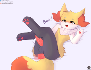 5001843_FireEagle2015_braixen_m_5_.png