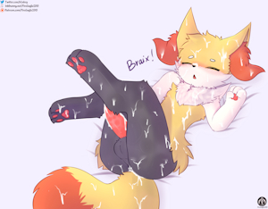 5001849_FireEagle2015_braixen_m_11_.png