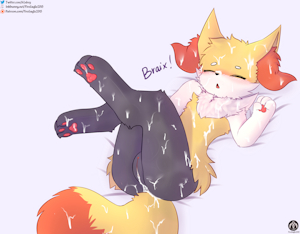 5003113_FireEagle2015_braixen_f_18_.png