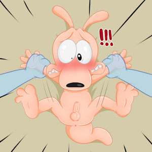 5029336_LittleKobsChannel_rocko_2.png