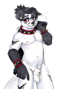5041509_BastionShadowpaw_toshi_is_cute_and_hot.png