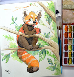 5058507_pandapaco_31redpanda_foto.jpg